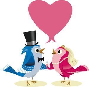 Twitter Love Birds